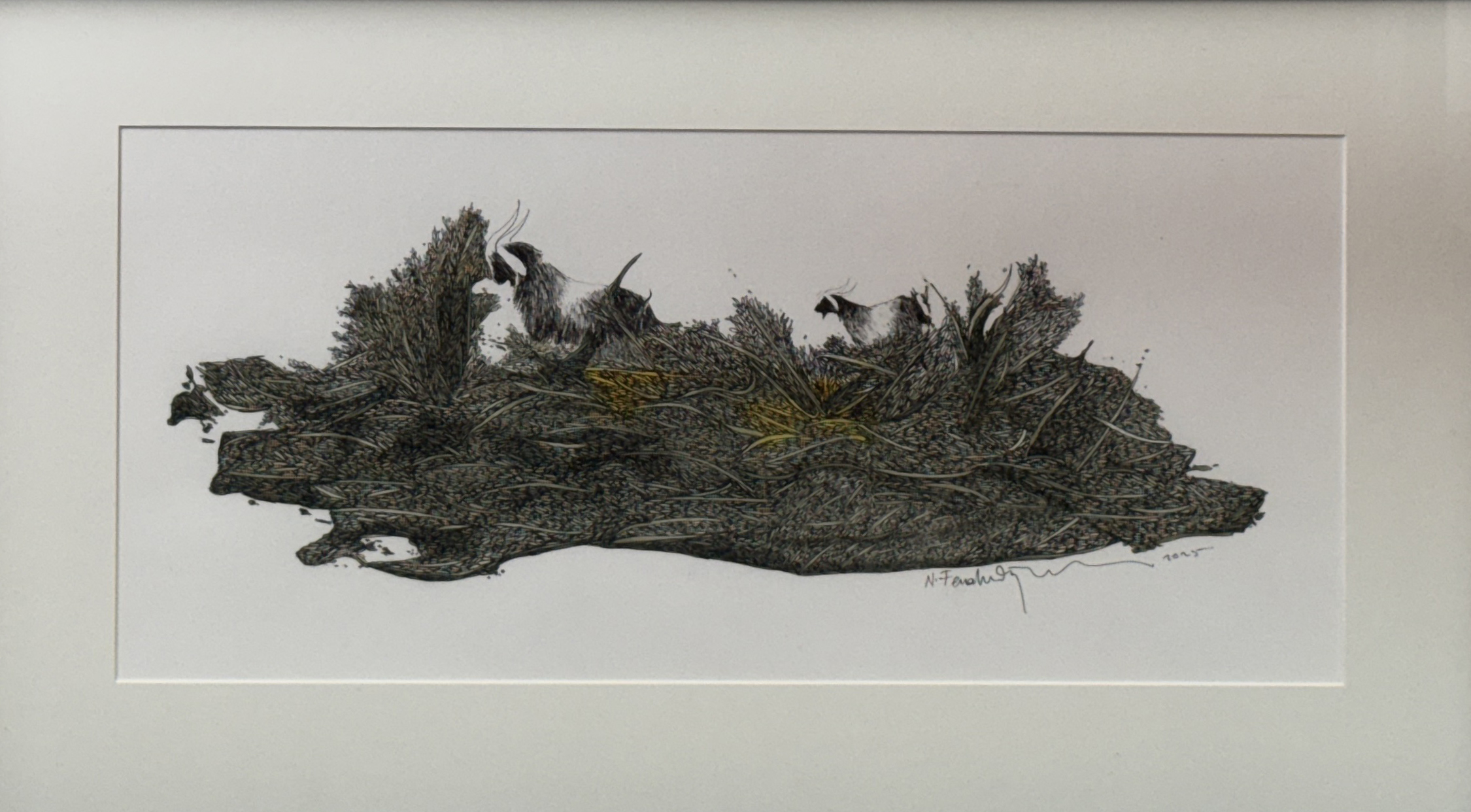 IMG 3450.JPG düzenlenmiş